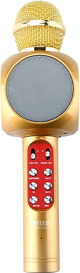 Микрофон Wster WS-1816 (золотистый) - фото 1 - id-p188446988