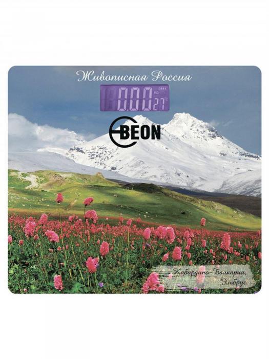 BEON BN-1106
