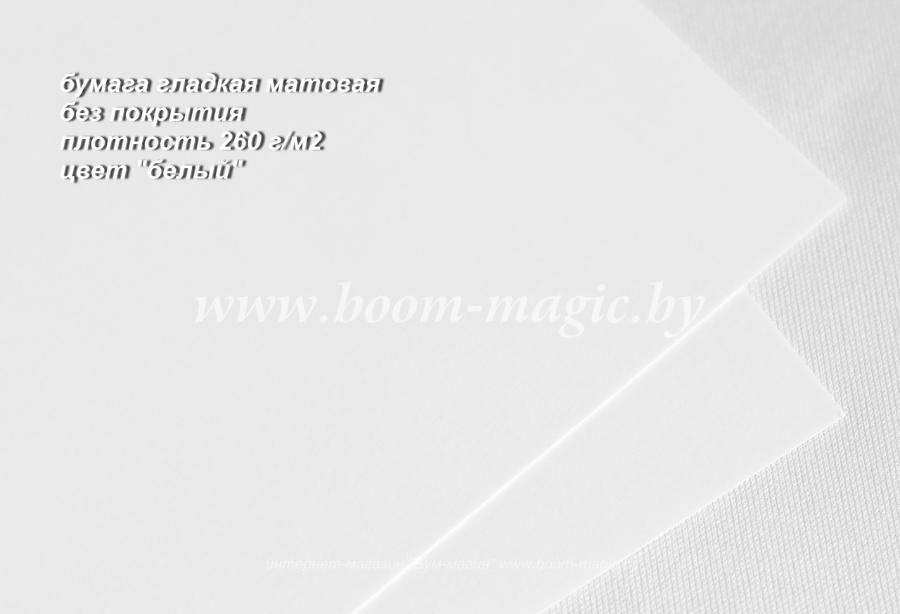БФ! 55-201 картон/бумага белая матовая гладкая, 260 г/м2, формат 70*100 см - фото 1 - id-p172383256