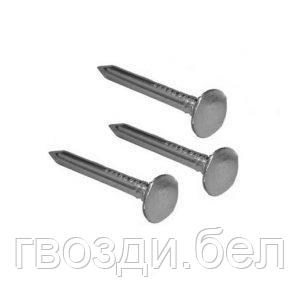 Гвозди кровельные 4,0*50 оцинкованные ( 1 уп. / 5 кг.)