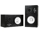 Активные мониторы Avantone Pro CLA-10A  Active Studio Monitor Pair, фото 4