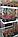 Саженцы голубики сорт Конкорд (Concord) двухлетка, фото 3