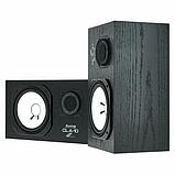 Пассивные мониторы Avantone Pro CLA-10 Passive Studio Monitor Pair, фото 2