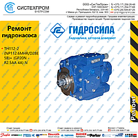 Ремонт насоса ТН112-2 (NP112.6MHR/D2BE5B)+ (GP20N -R2.5AA 4A) N