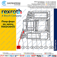 R902436450 Полусфера запасная часть насоса A10CNO63