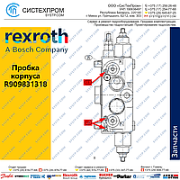 Пробка корпуса R909831318 запасная часть насоса A4VG56