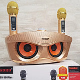 Караоке система СОВА SDRD SD-306 Plus на два микрофона, фото 3