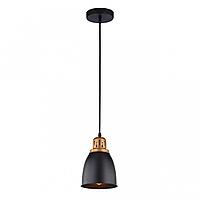 Светильник Arte Lamp Eurica A4248SP-1BK