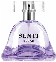 Парфюмерная вода Dilis Parfum Senti Soar