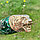 Нож разделочный в кожаном футляре Кизляр России Дамасская сталь / цветная рукоять карельская береза  Барс, фото 10
