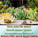 Есть или Не есть? Какой секрет хранят почерневшие бананы?