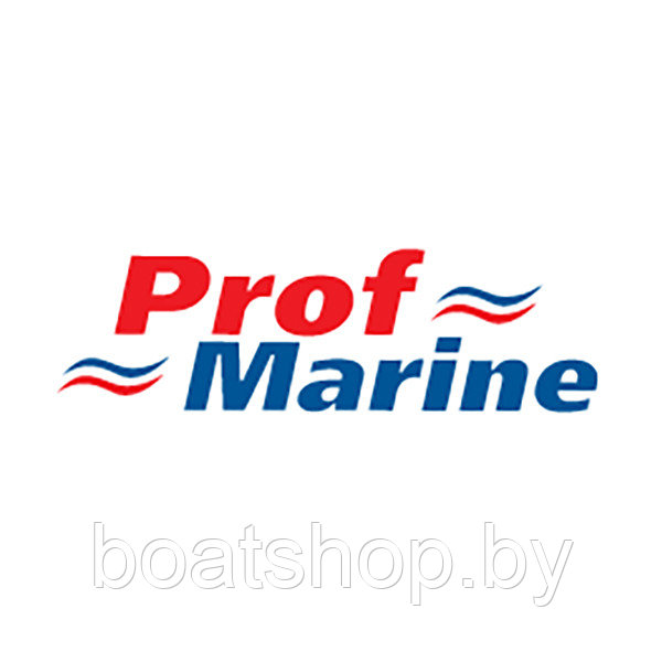 Лодки ПВХ ProfMarine Лодки Профмарин