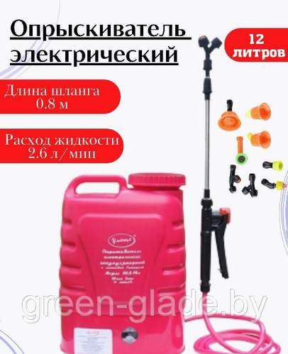Оэл 12 Умница Купить В Москве