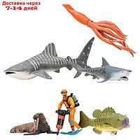 Набор фигурок: китовая акула, акула, морж, кальмар, окунь, дайвер, 6 предметов