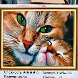 Алмазная мозаика "Котики", в ассортименте, 40* 50, фото 6