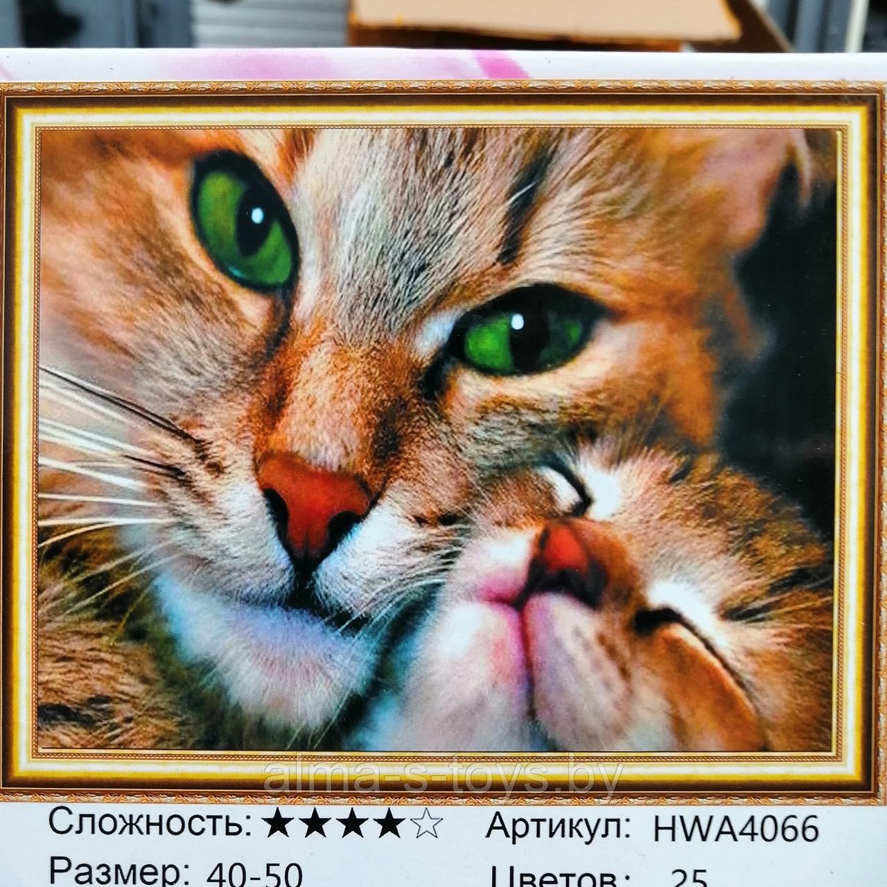 Алмазная мозаика "Котики", в ассортименте, 40* 50 - фото 6 - id-p188779947