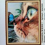 Алмазная мозаика "Котики", в ассортименте, 40* 50, фото 7