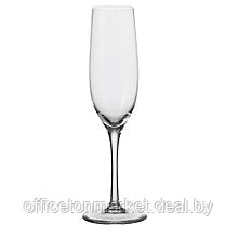 Набор бокалов для шампанского "Ciao+", стекло, 190 мл, 6 шт, прозрачный