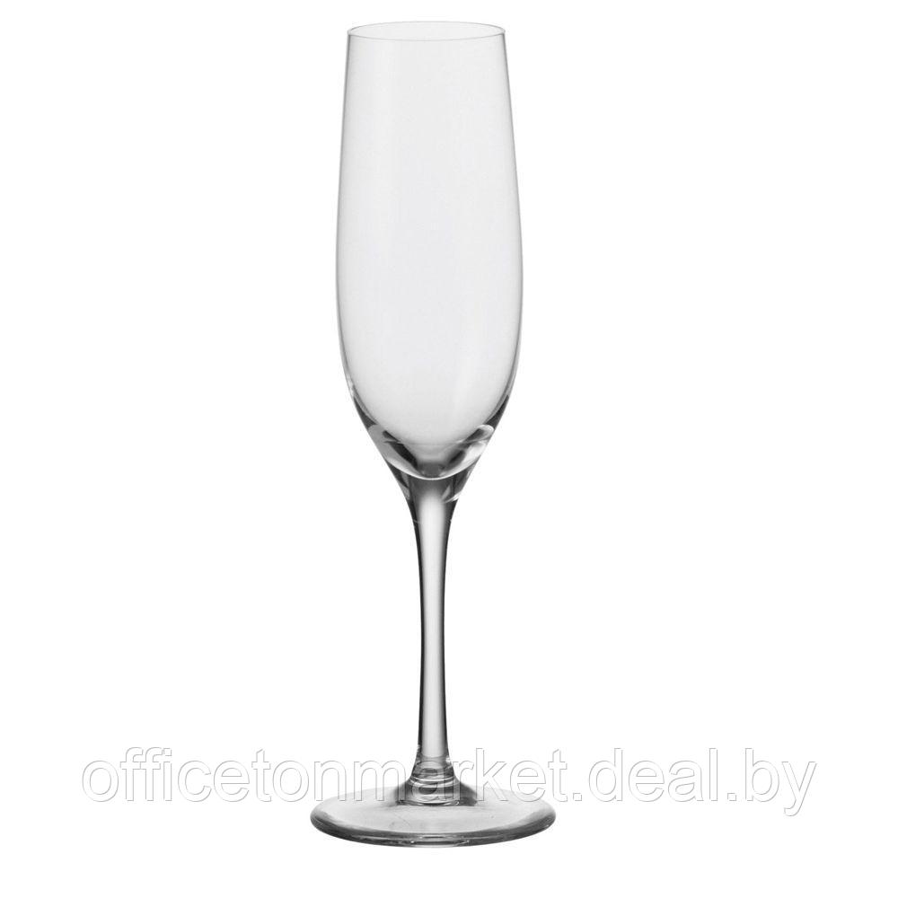 Набор бокалов для шампанского "Ciao+", стекло, 190 мл, 6 шт, прозрачный - фото 1 - id-p178286084