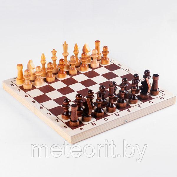 Классические шахматы "Школьник" - фото 3 - id-p188876549