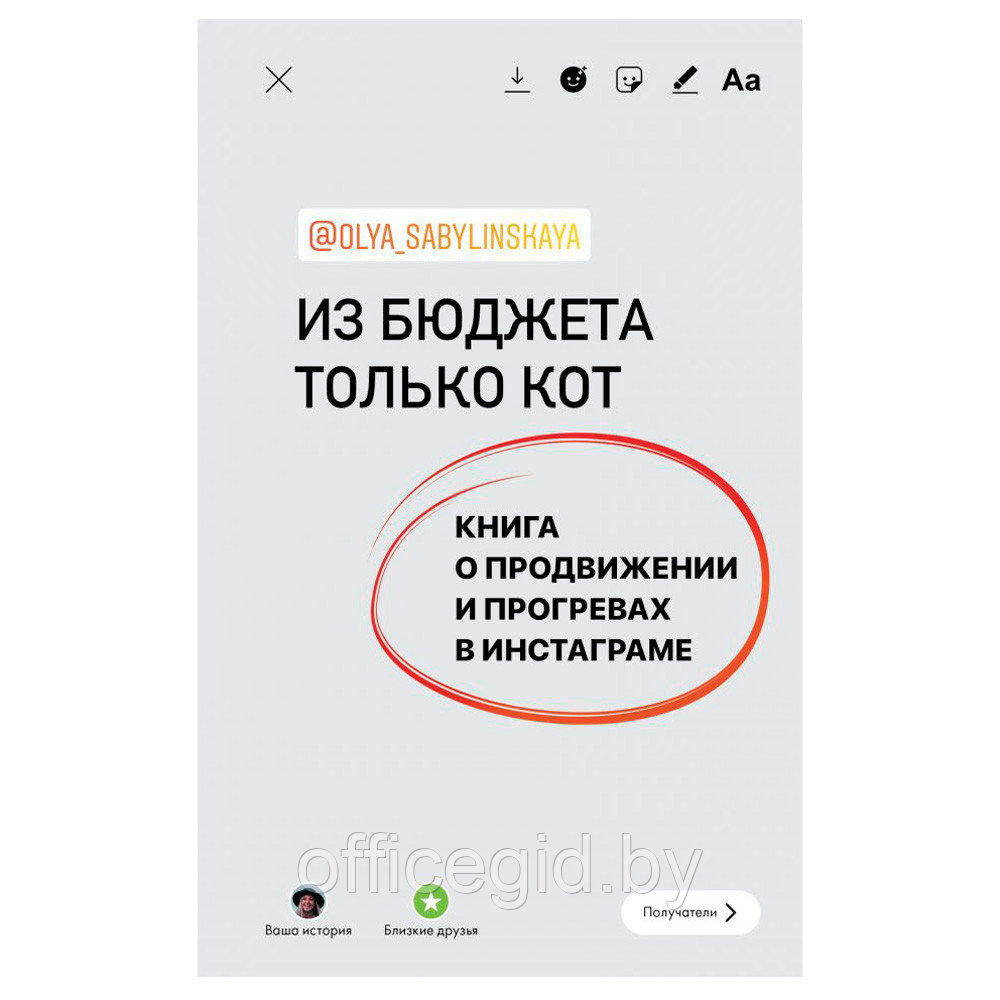 Книга "Из бюджета только кот. Книга о продвижении и прогревах в инстаграме", Оля Сабылинская