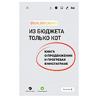 Книга "Из бюджета только кот. Книга о продвижении и прогревах в инстаграме", Оля Сабылинская