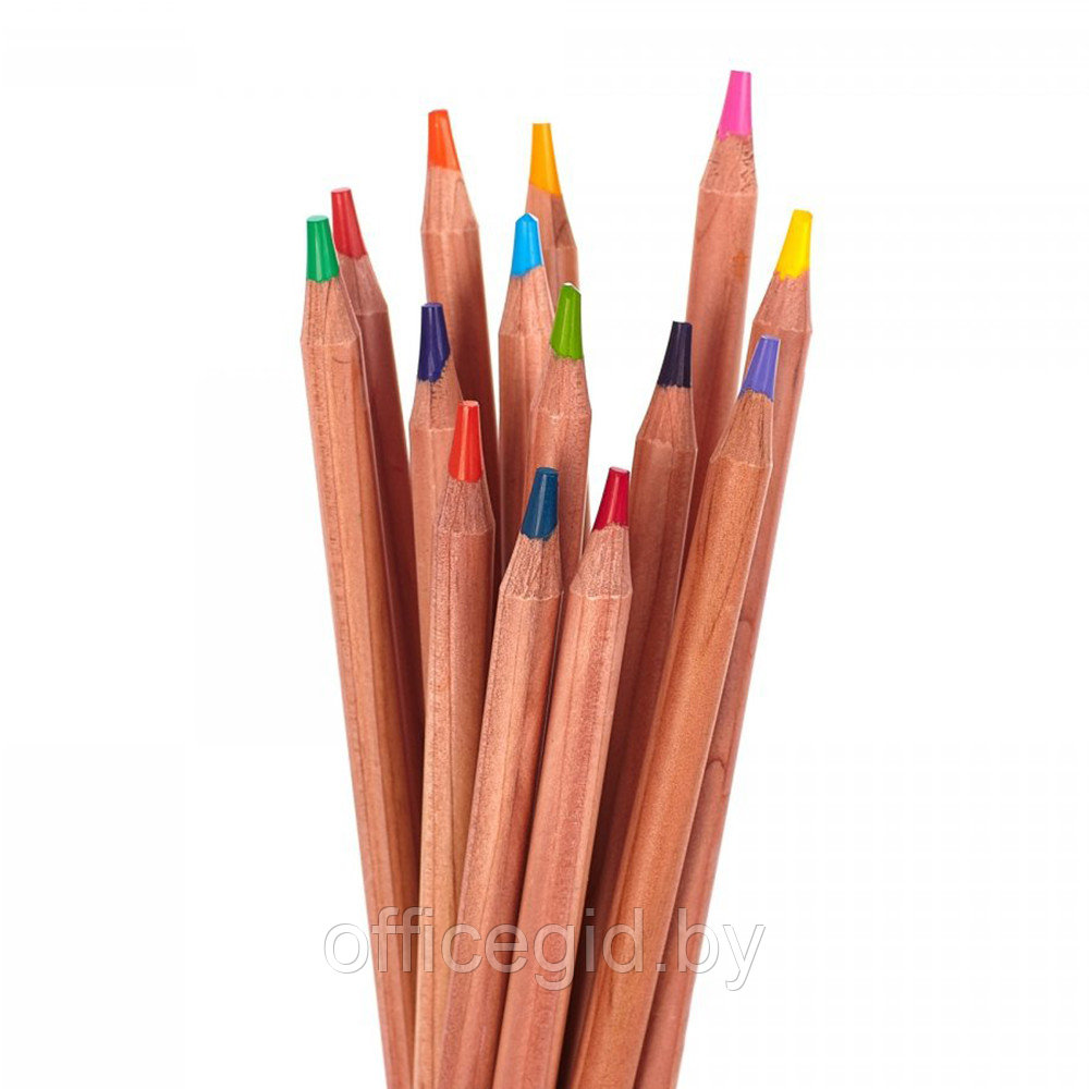 Набор цветных карандашей "Prestige", 24 цвета - фото 3 - id-p188885128