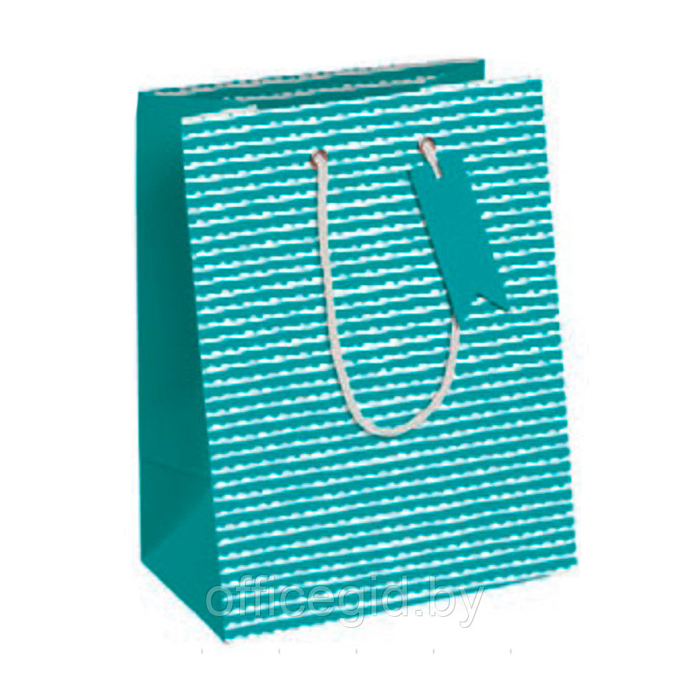 Пакет бумажный подарочный "Rosalie", 21.5x10.2x25.3 см, разноцветный