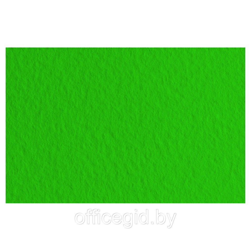 Бумага для пастели "Tiziano", 50x65 см, 160 г/м2, зеленый темный - фото 1 - id-p188890723