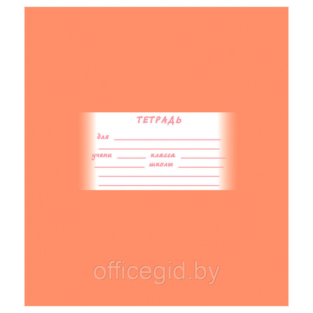 Тетрадки для кукол. Школьные тетрадки. Тетрадь 12л. Тетрадь 18л клетка а5 пифагор. Тетрадь erich krause 24л линия.