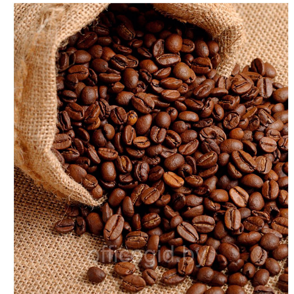 Книга "Кофеология. История кофе: от плода до вдохновляющей чашки спешалти кофе", Монтенегро Г., Шируз К. - фото 3 - id-p188885328