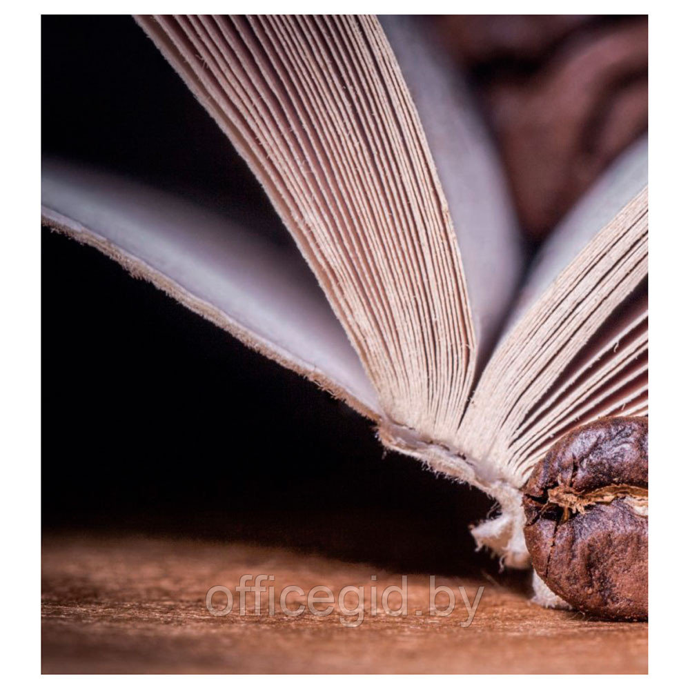 Книга "Кофеология. История кофе: от плода до вдохновляющей чашки спешалти кофе", Монтенегро Г., Шируз К. - фото 6 - id-p188885328