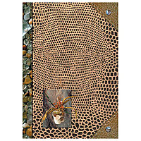 Книга канцелярская "Камешки", А4, 96 листов, клетка, коричневый