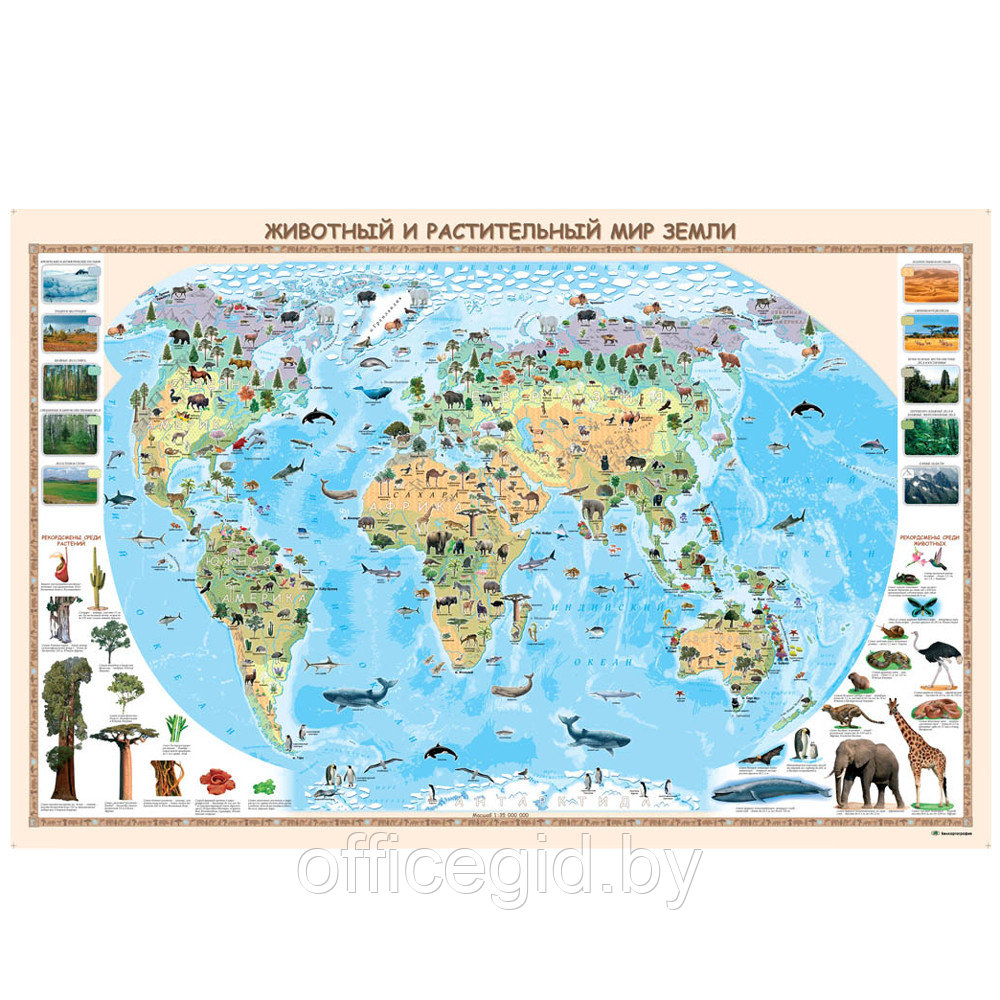 Карта настенная "Животный и растительный мир Земли" с держателем, 100x66 см - фото 1 - id-p188886239