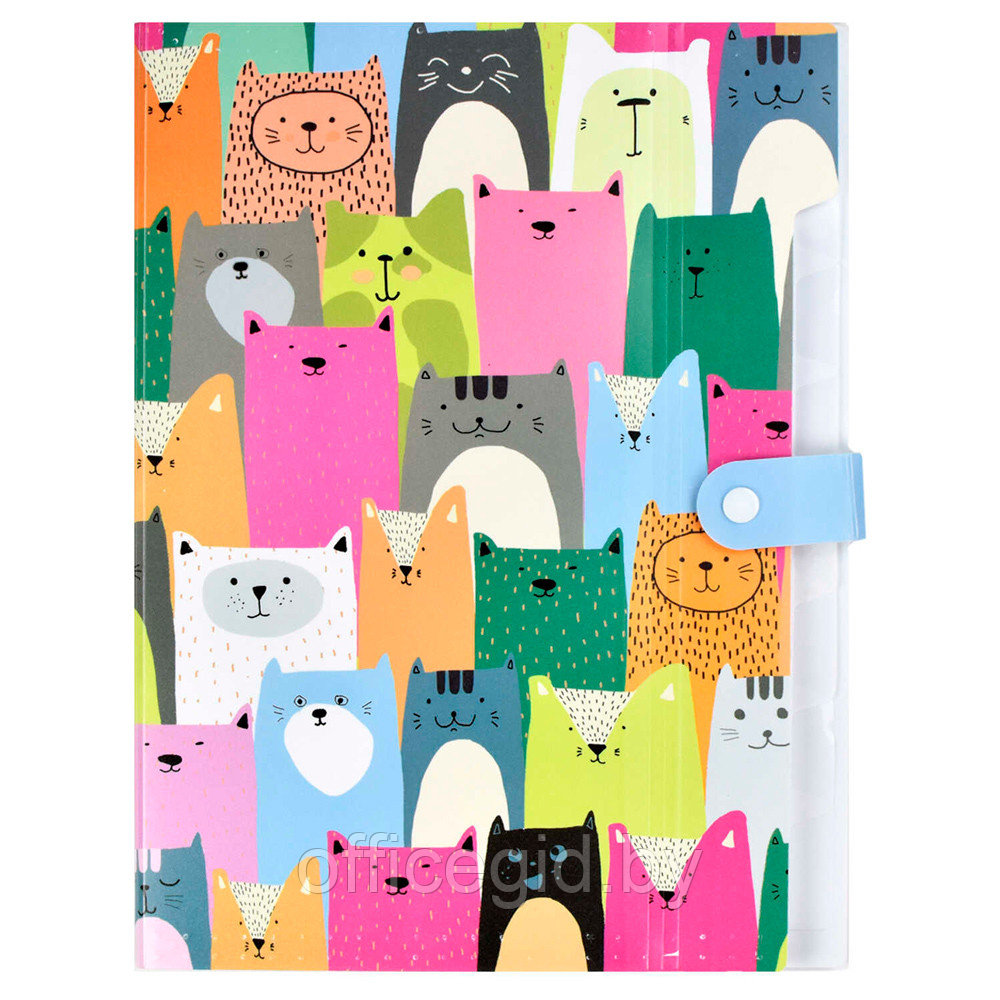 Папка для тетрадей "Коты", А4, кнопка, пластик, разноцветный - фото 1 - id-p188886265