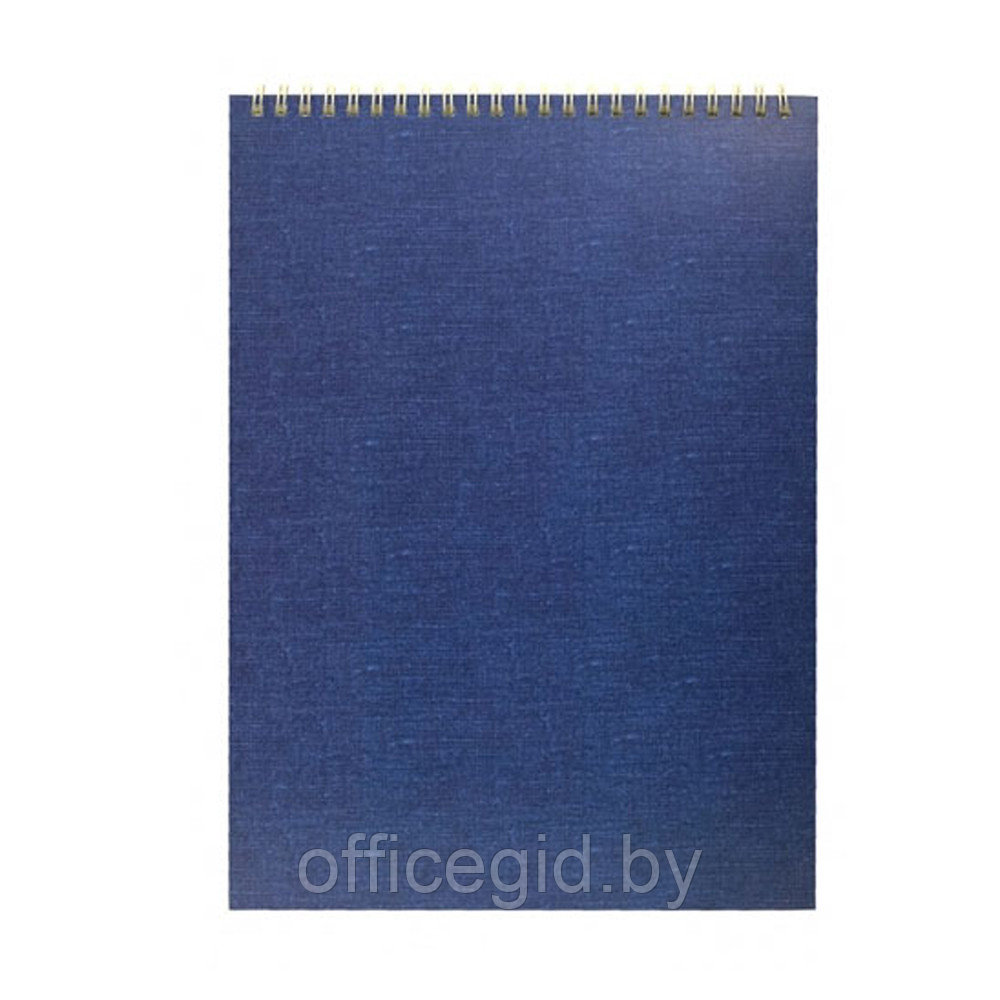 Блокнот "Эконом", А6, 40 листов, клетка, синий - фото 1 - id-p188890085