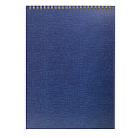 Блокнот "Эконом", A4, 40 листов, клетка, синий (979953)