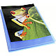Папка с файлами "Kreacover", 20 карманов, синий, фото 3