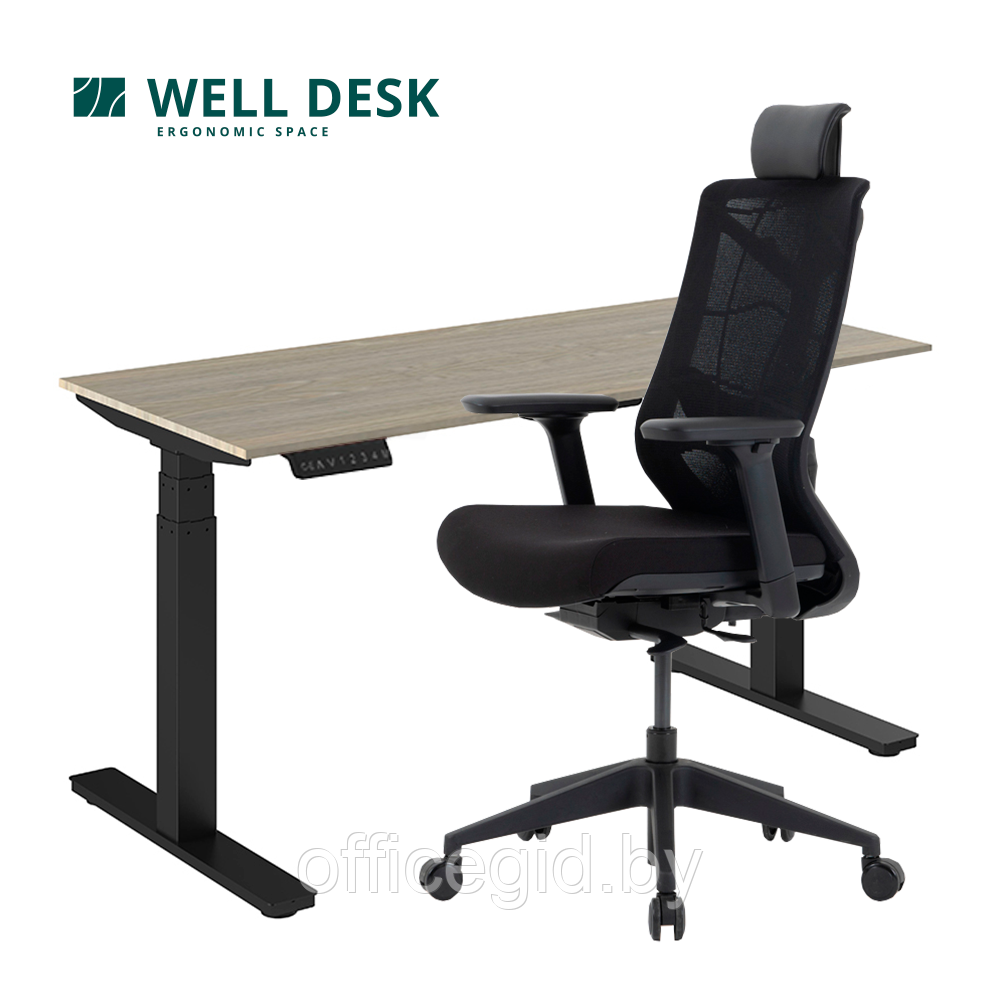 Комплект мебели "Welldesk": cтол двухмоторный, черный, столешница ясень шимо + кресло "Nature ll"