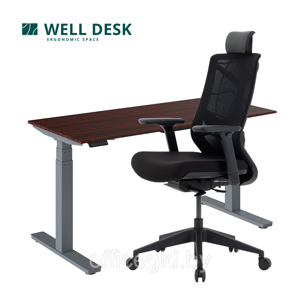 Комплект мебели "Welldesk": cтол двухмоторный, серый, столешница дуб стирлинг + кресло "Nature ll" - фото 1 - id-p188893805