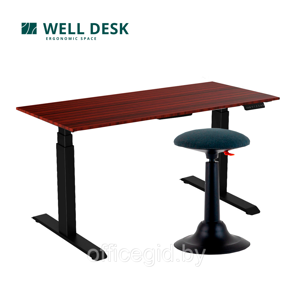 Комплект мебели "Welldesk": cтол двухмоторный Bluetooth, черный, столешница дуб стирлинг + стул для активного - фото 1 - id-p188893814