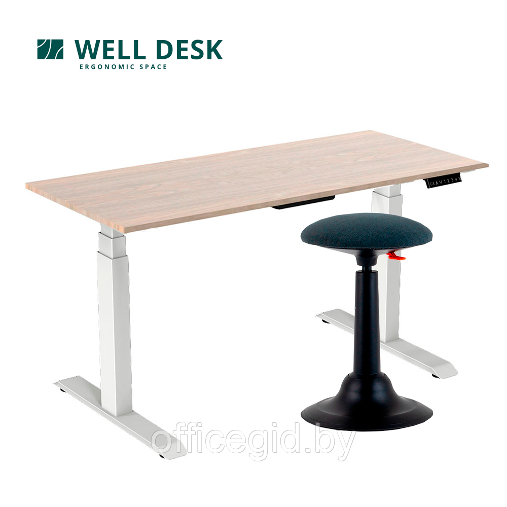 Комплект мебели "Welldesk": cтол двухмоторный Bluetooth, белый, столешница сосна натуральная + стул для - фото 1 - id-p188893818