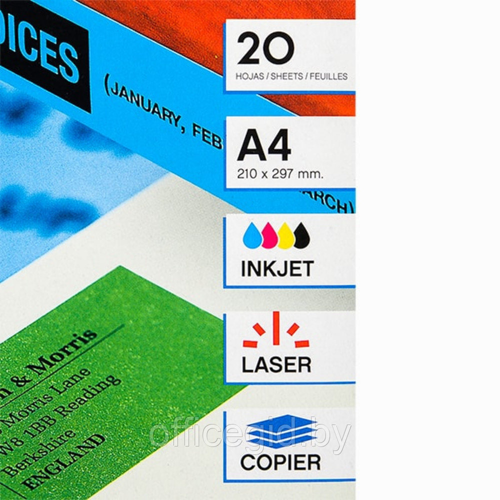 Самоклеящиеся цветные этикетки универсальные "Apli", 210x297 мм, 20 листов, 1 шт, зеленый - фото 2 - id-p188891155