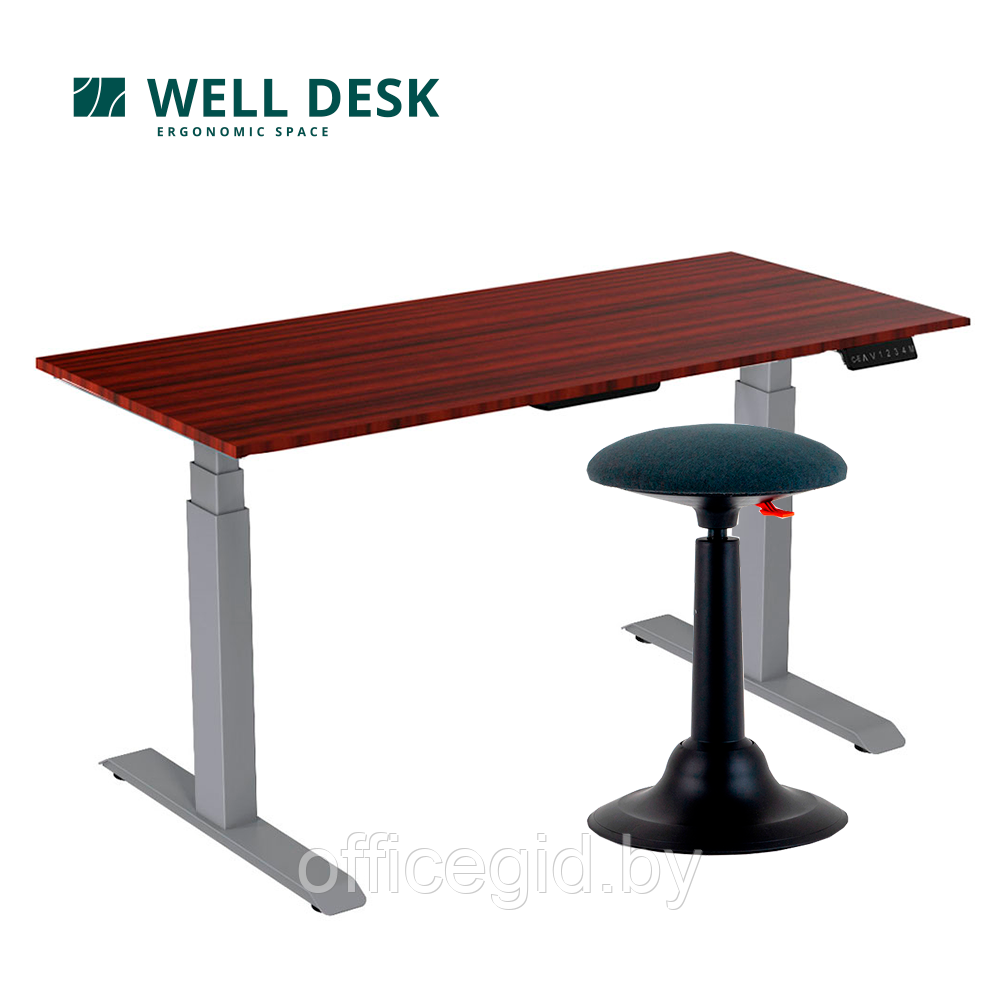 Комплект мебели "Welldesk": cтол двухмоторный Bluetooth, серый, столешница дуб стирлинг + стул для активного - фото 1 - id-p188893825