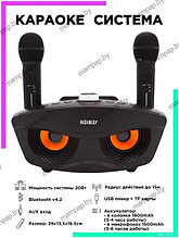 SDRD SD-306 СОВА Черная караоке система с двумя микрофонами Bluetooth