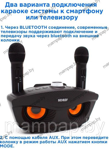 SDRD SD-306 СОВА Черная караоке система с двумя микрофонами Bluetooth - фото 5 - id-p188912641