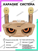 SDRD SD-306 СОВА Золото караоке система с двумя микрофонами Bluetooth