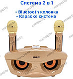 SDRD SD-306 СОВА Золото караоке система с двумя микрофонами Bluetooth, фото 5