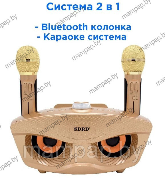 SDRD SD-306 СОВА Золото караоке система с двумя микрофонами Bluetooth - фото 5 - id-p188914408