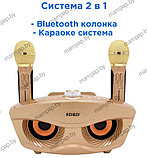 SDRD SD-306 СОВА Караоке система с двумя микрофонами Bluetooth, фото 8
